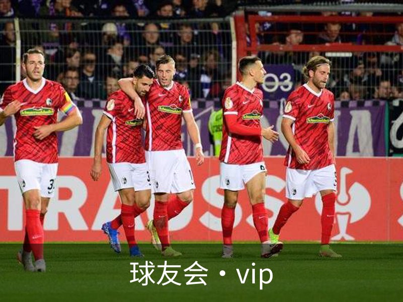 球友会·vip介绍